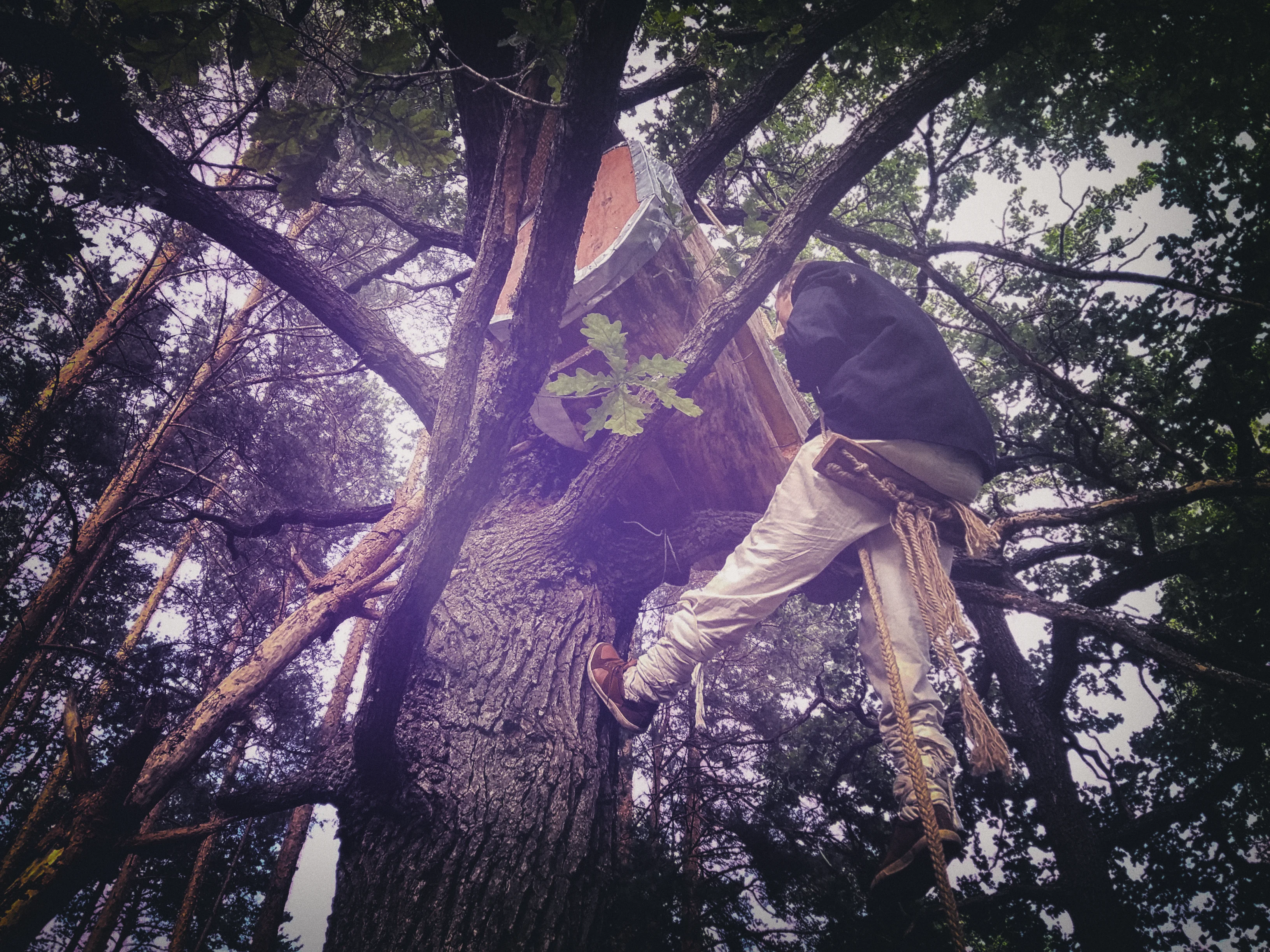 Бортнік творыць