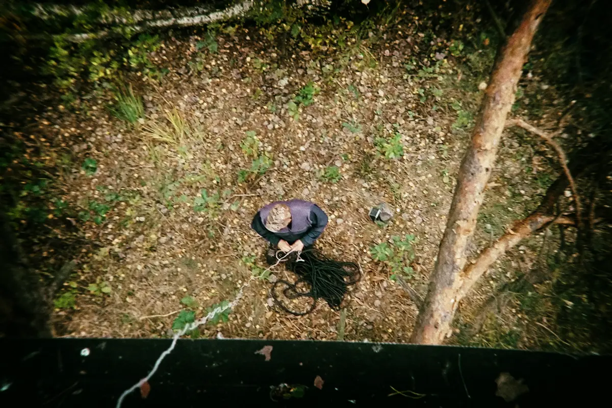 Бортнік зверху