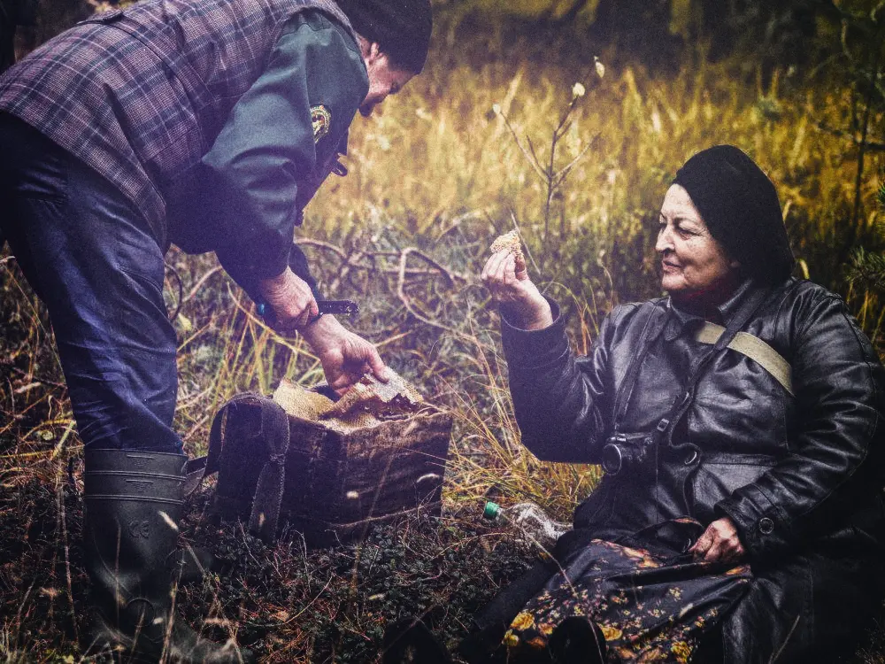 Частаванне мёдам