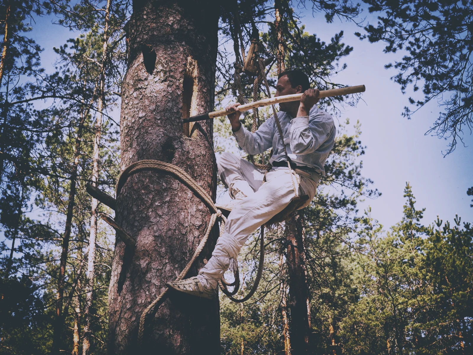 Бортнік вырабляе борць