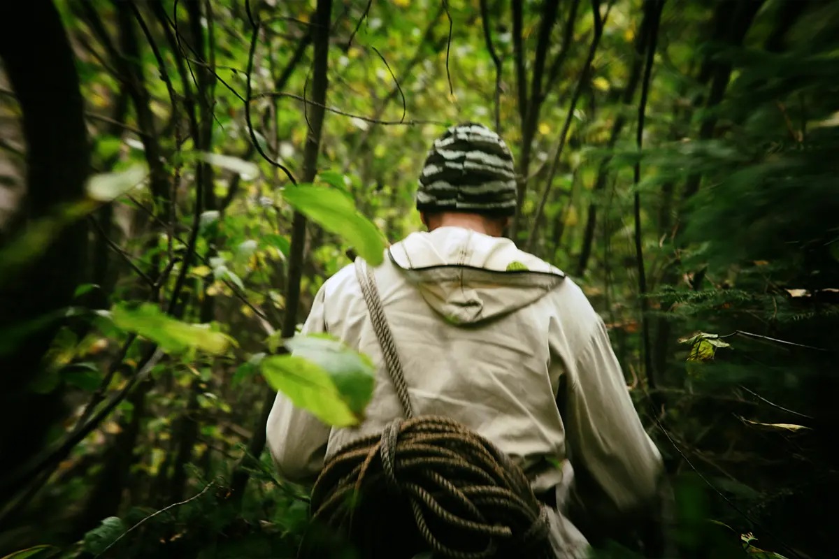 Бортнік ідзе па лесу