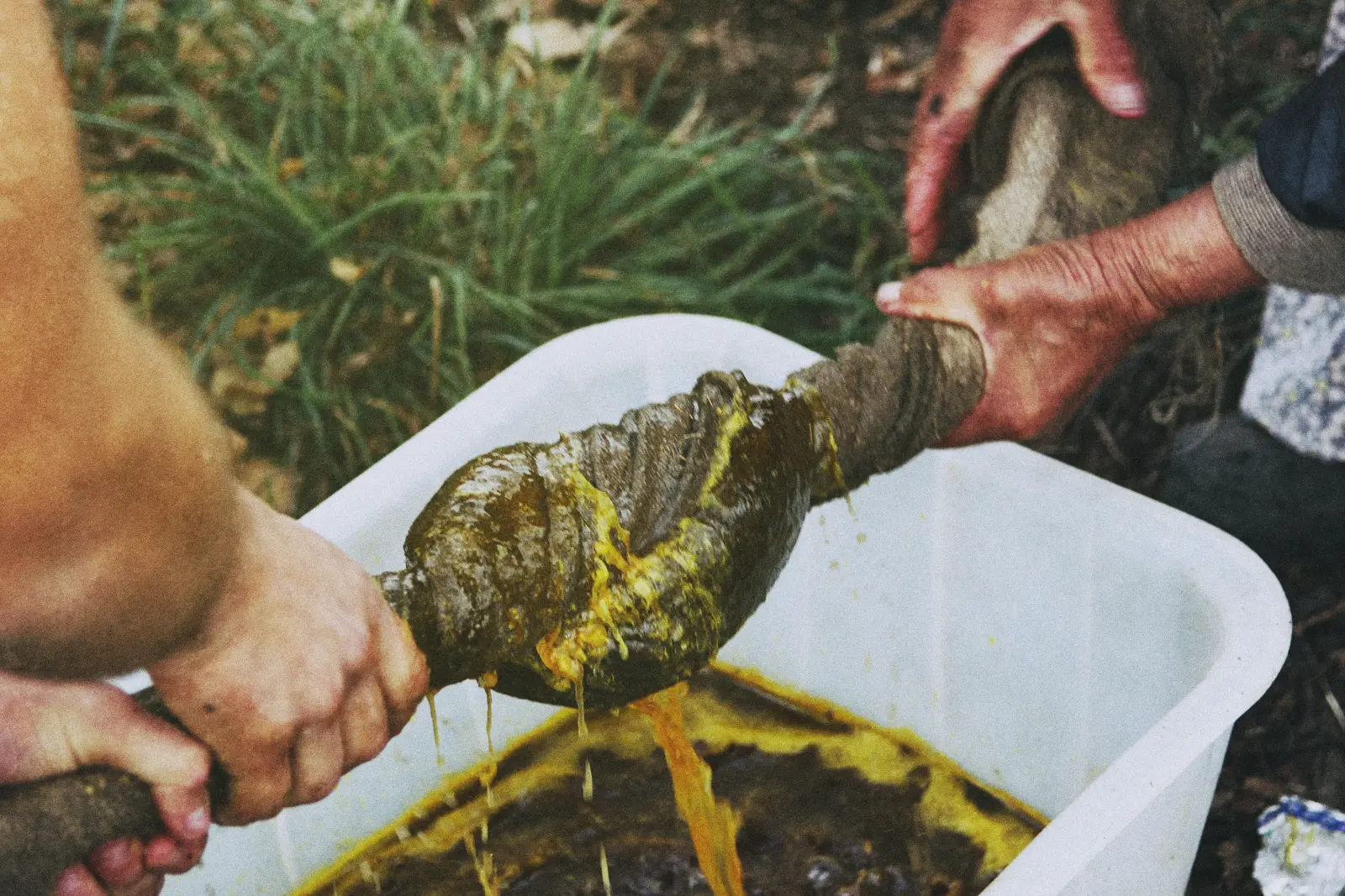 Выцісканне воска