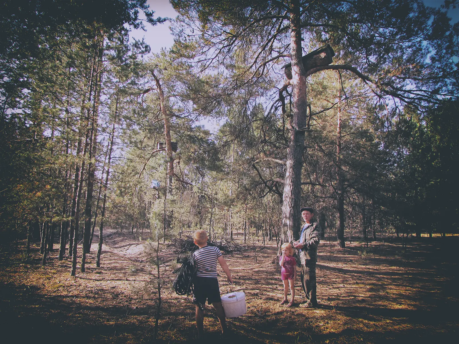Маладыя бортнікі ў лесе