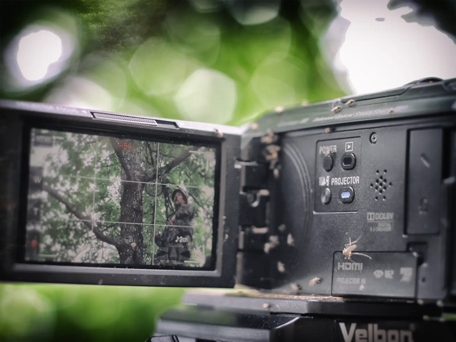 Здымкі бортнікаў