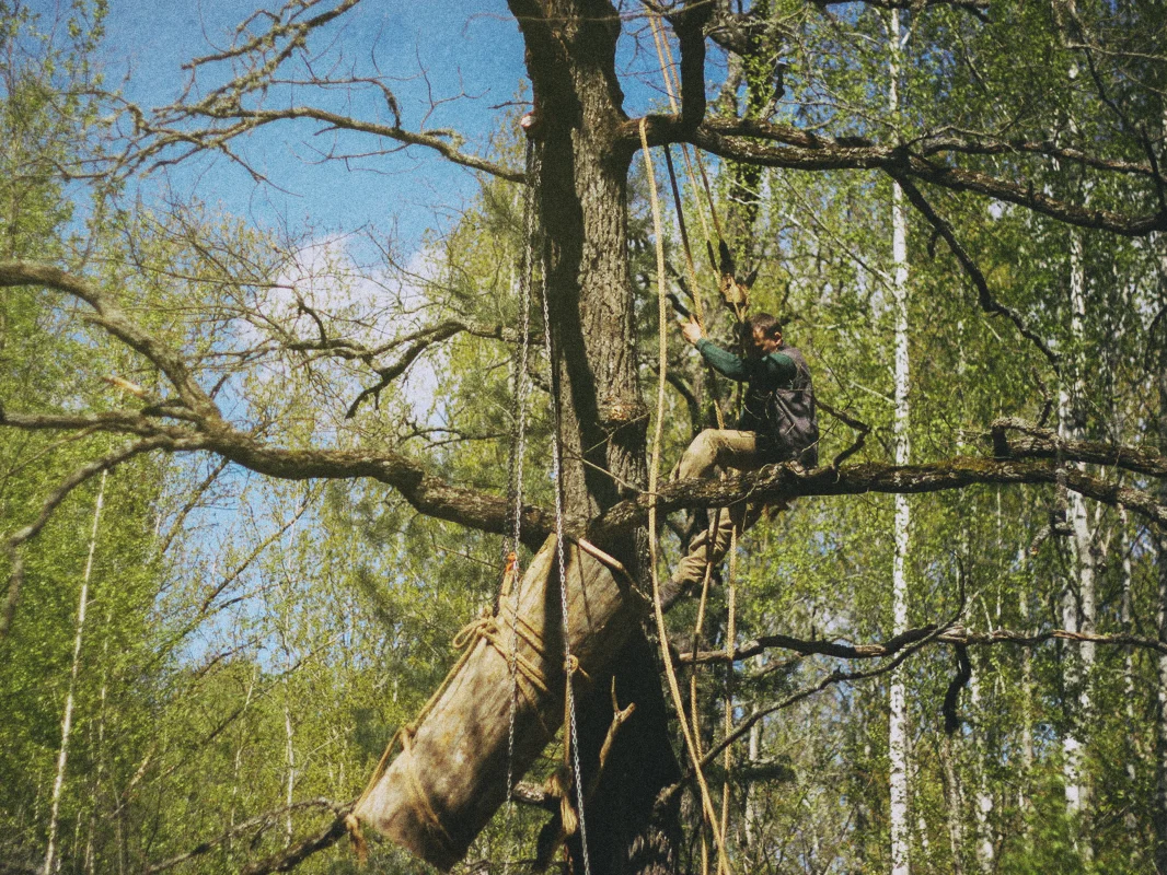 Бортнік усцягвае калоду