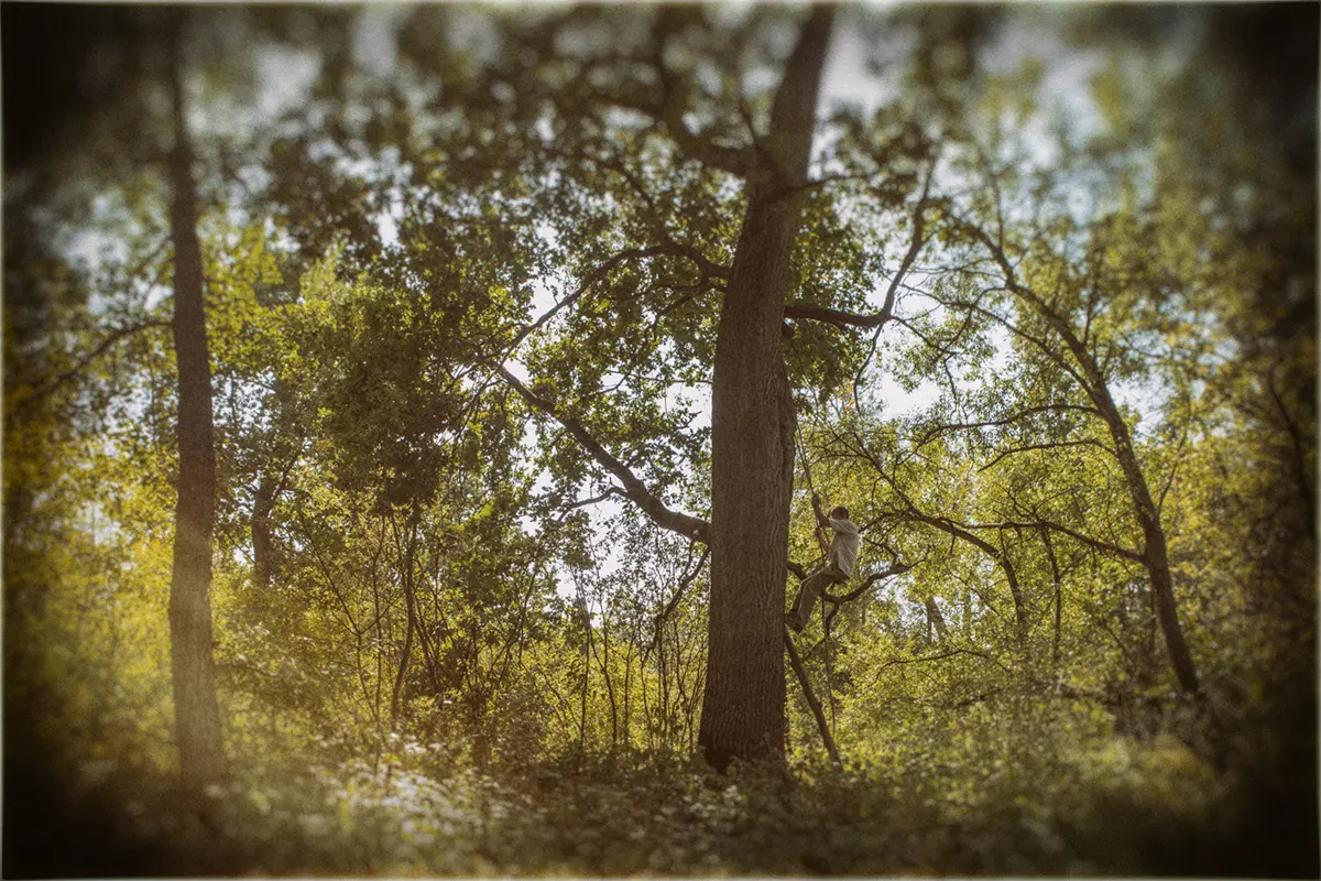 Бортнік у лесе