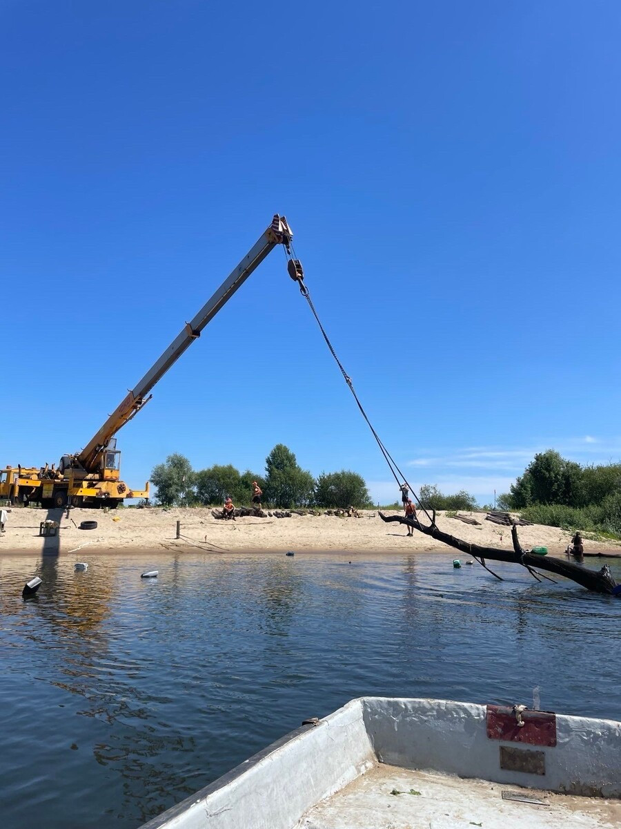 Мораныя дубы на беразе ракі