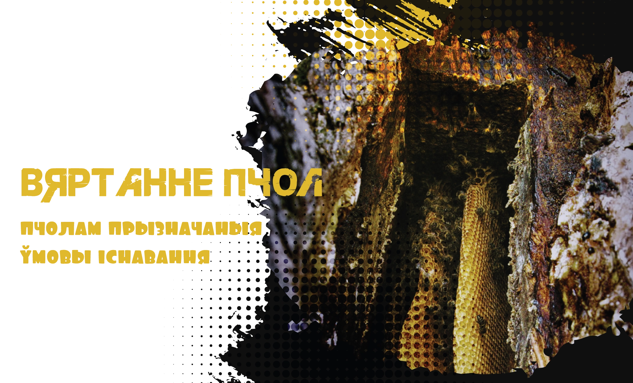 Вяртанне пчол у дзікія ўмовы існавання